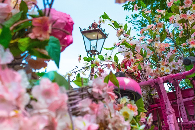 A secret green courtyard (hofje) in Amsterdam, an example of a hidden gem for travelers on a budget.