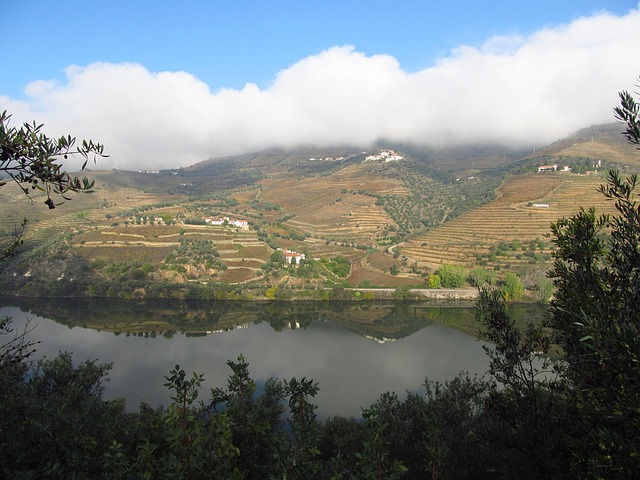 A train running alongside the scenic Douro River, a guide to exploring the wine region on a budget.