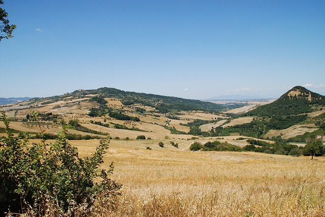 Rolling hills of Tuscany with cypress trees, a classic Italian landscape perfect for a scenic road trip.