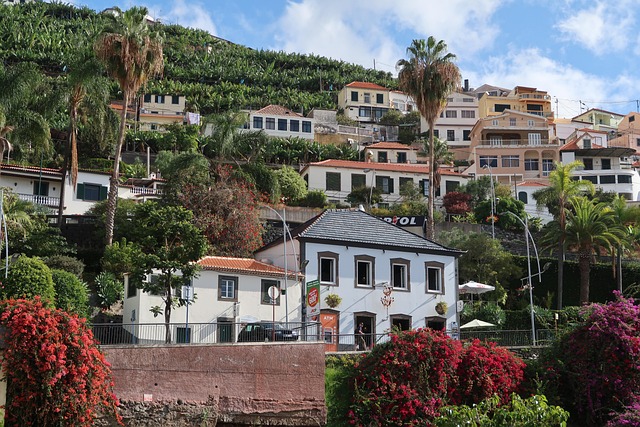 Dramatic cliffs and lush landscapes in Madeira, the 'Floating Garden' of the Atlantic.